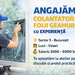 Colantator folii geamuri cu experienta - Bucuresti (sector 5)